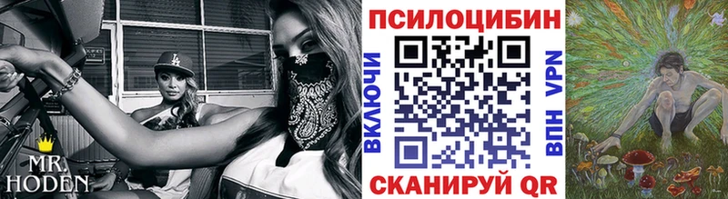Галлюциногенные грибы мицелий  где можно купить   Снежногорск 
