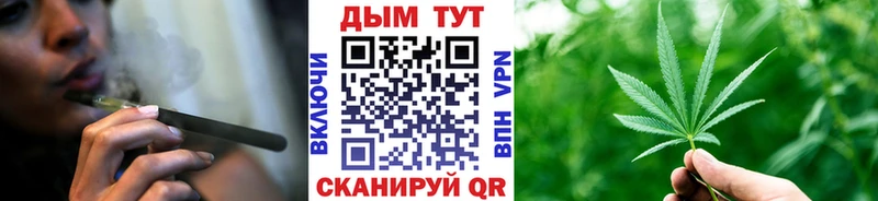 купить наркоту  Снежногорск  Бошки марихуана ГИДРОПОН 